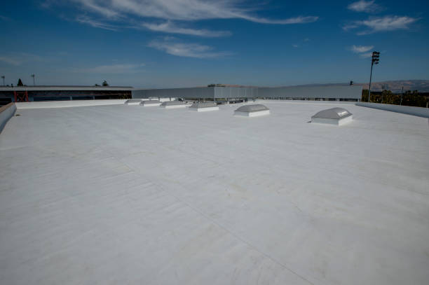 Best Steel Roofing  in Ravenna, NE