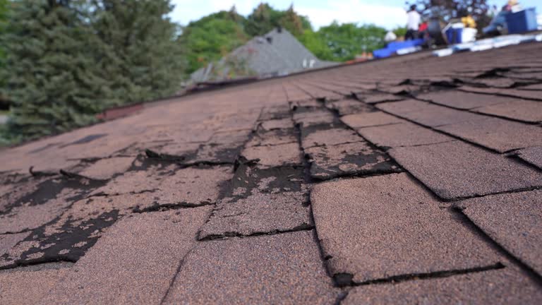 Emergency Roof Repair in Ravenna, NE