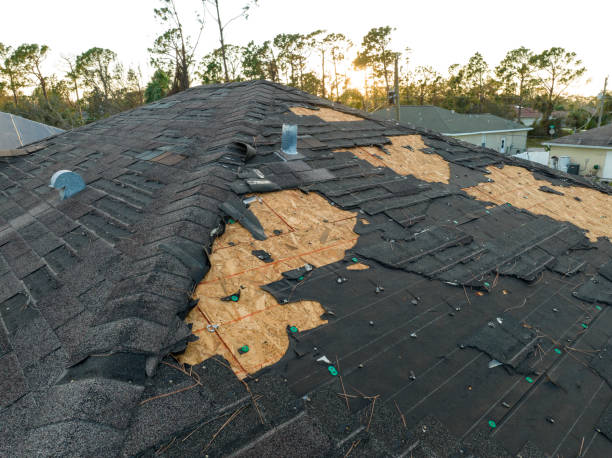 Best Roof Moss and Algae Removal  in Ravenna, NE