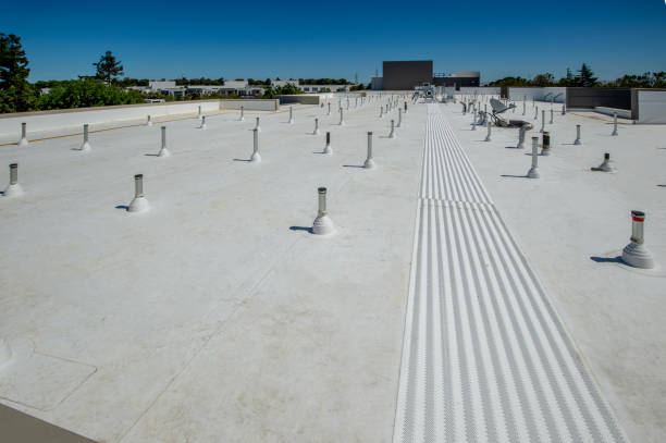Best Green or Eco-Friendly Roofing Solutions  in Ravenna, NE